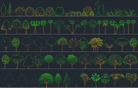 Trees and Plant CAD Block - Free CAD Block And AutoCAD Drawing