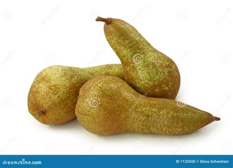 European Pear stock photo. Image of pyrus, fruit, background - 7132650