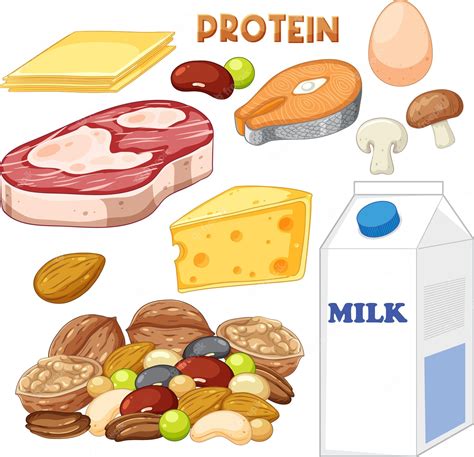 protein foods - Clip Art Library