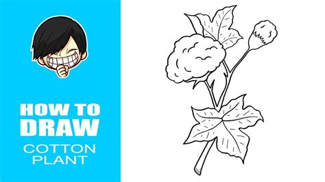 How to draw Cotton Plant - YouTube