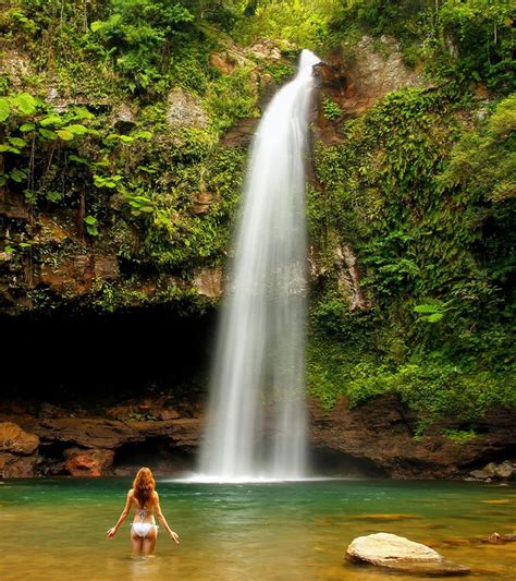 14 Best Tropical Waterfalls In The World | Tropikaia | Waterfall, Beautiful waterfalls, El ...