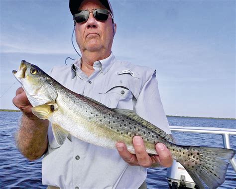 Speckled trout on the move - Louisiana Sportsman | Inshore fishing, Trout, Inshore