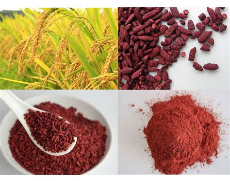 Red Yeast Rice Extract Powder, Monacolin K 3%, Lovastatin, Monascus Purpureus Color Pigment