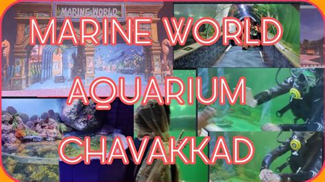 MARINE WORLD AQUARIUM Part2/Thrissur/ India's Largest Public Aquarium ...