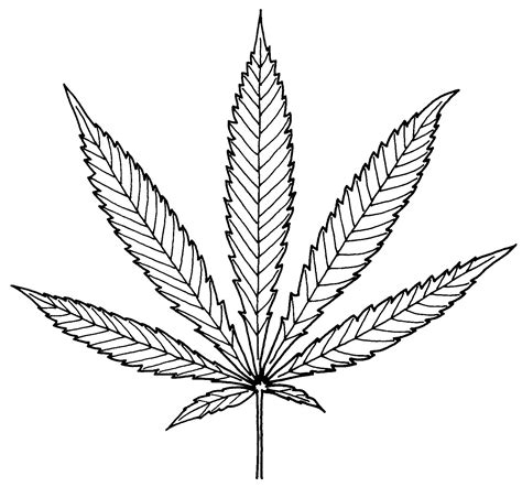 Weed Leaf Drawing at GetDrawings | Free download