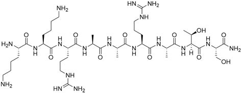 Myosin Light Chain Kinase (11-19) amide - Echelon Biosciences