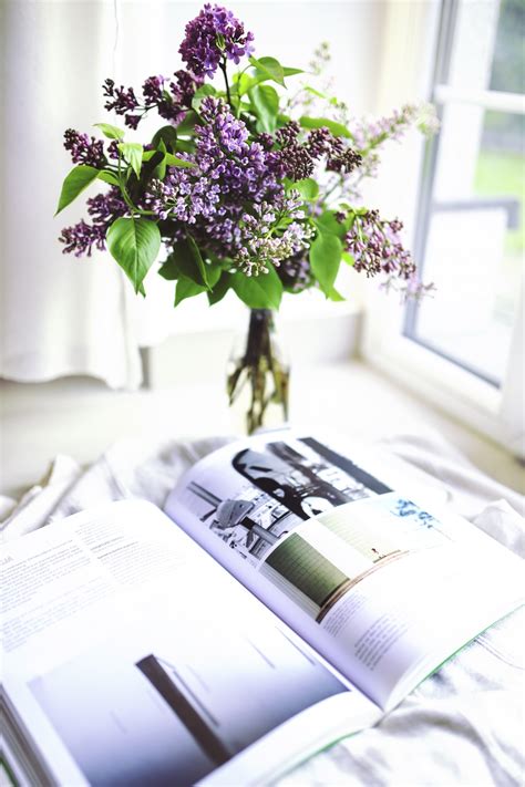 Free Images : book, plant, purple, newspaper, decoration, magazine ...