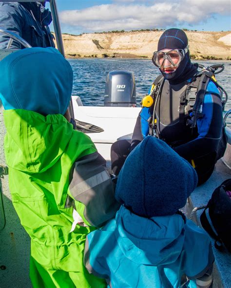 What it's like to go SCUBA diving with sea lions in Punta Loma Argentina - Wandering Wagars