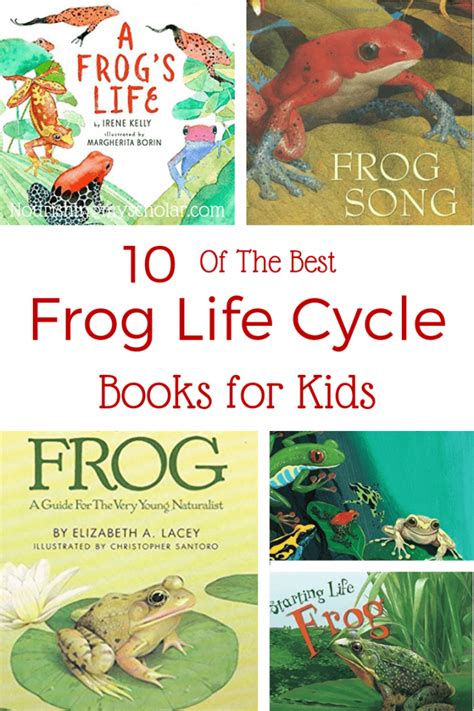 10 of the Best Frog Life Cycle Books for Kids - Nourishing My Scholar