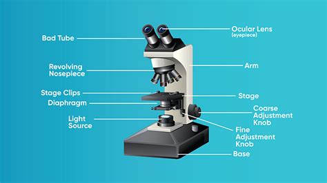 Microscopes & Labs - BIOL 2117: Microbiology - LibGuides at Wiregrass Georgia Technical College