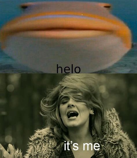 My Favorite Adele Song : r/memes