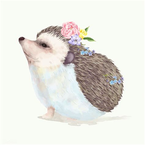 Illustration of a baby hedgehog | free image by rawpixel.com | Hedgehog illustration, Baby ...