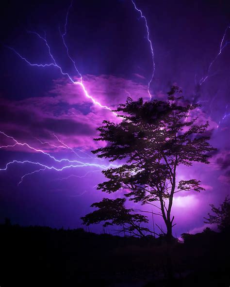 The Purple Lightning Art Print - Algoma Marketplace