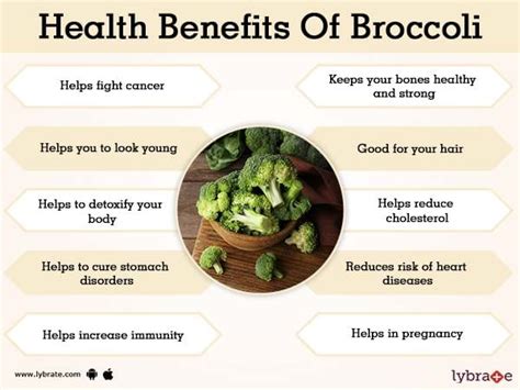 Benefits of Broccoli And Its Side Effects | Lybrate