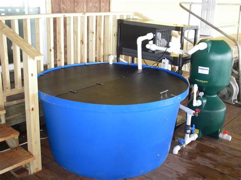 Aquaponic Filter Designs | Aquaponics Plans Download