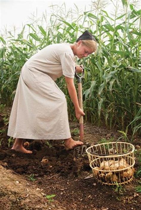 Amish Cottage | Amish, Amish farm, Amish culture