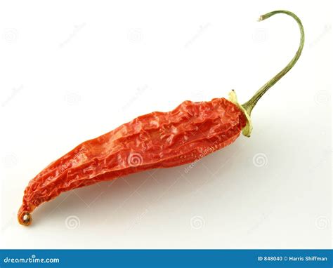 Aji pepper stock photo. Image of flavor, small, dried, dehydrated - 848040