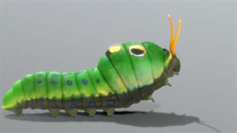 Spicebush Swallowtail Caterpillar - Buy Royalty Free 3D model by ...