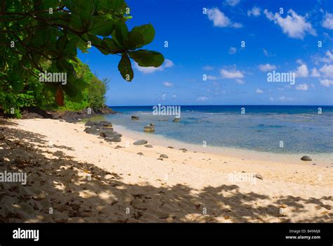 Sea Lodge Beach North Shore Island of Kauai Hawaii Stock Photo - Alamy