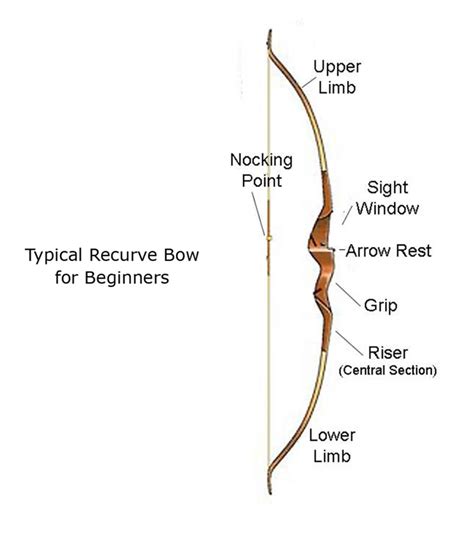 Recurve Bow Beginners at Julio Richardson blog