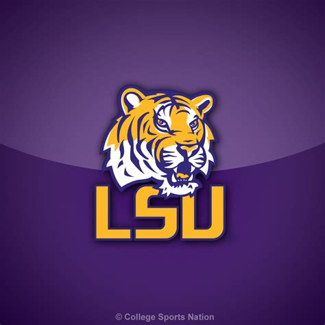 wallpaper and picture free for you: louisiana-state-university-lsu-tigers-ipad-wallpaper