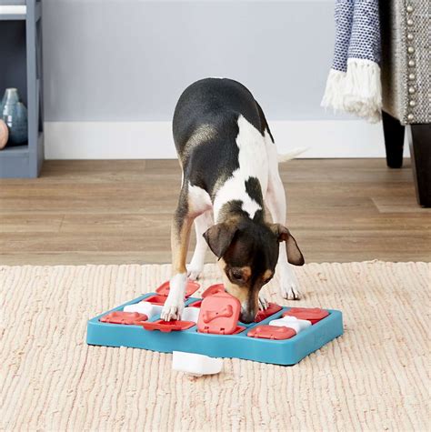 The 8 Best Dog Puzzle Toys of 2022