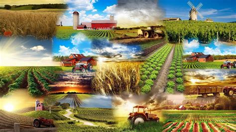 Agriculture Wallpapers - Wallpaper Cave