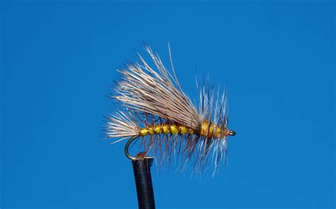 CONFIDENT DRY FLY FISHING FOR TROUT - ToFlyFish