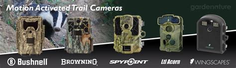 Motion Activated & Trail Cameras - Timelapse Cameras | Gardenature