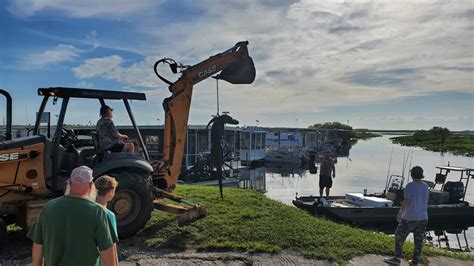 Gator Harvesting time is here!... - Grape Hammock Fish Camp