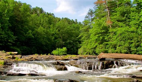 46 Things to do near Dawsonville, Georgia - Free Arenas