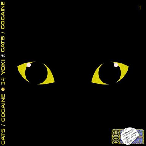 Yoki - Cats / Cocaine Lyrics and Tracklist | Genius