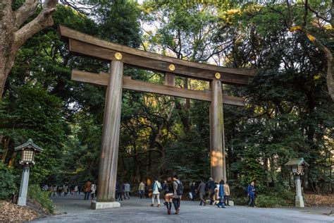 Meiji-jingu Shrine in Tokyo, Japan - Savvy Tokyo