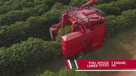 Coffee Picking Machine In India - pic-potatos