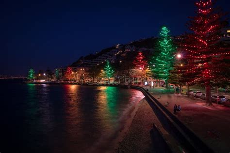 Oriental Bay New Zealand at Christmas Editorial Image - Image of ...