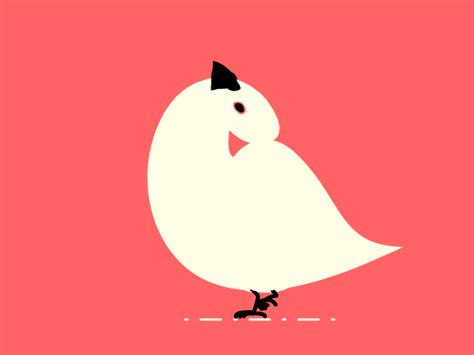 a white bird with a black bow on its head standing in front of a pink background