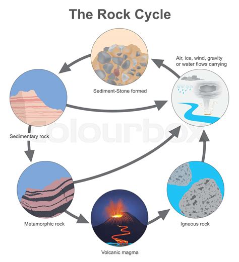 The Rock Cycle, Diagram types of a stone in cycle naturally occurring ...