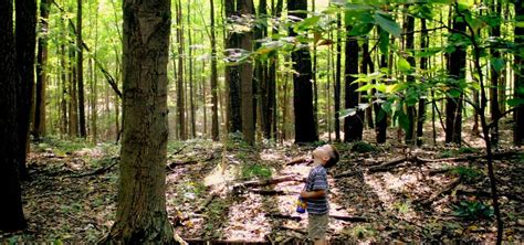 Kalamazoo Nature Center, Kalamazoo | Roadtrippers