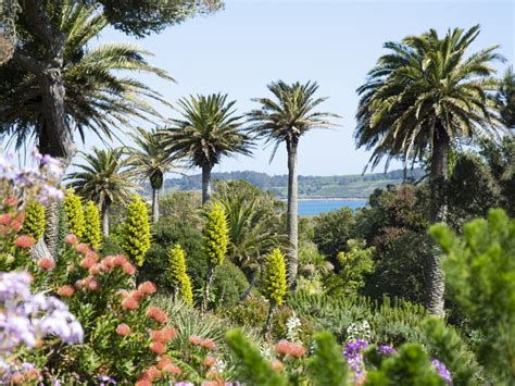 Tresco Abbey Garden - Scilly's Subtropical Gem | Tresco Island