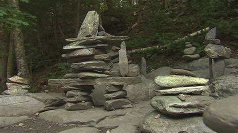 Foresta Lumina, une aventure locale qui se multiplie | Radio-Canada