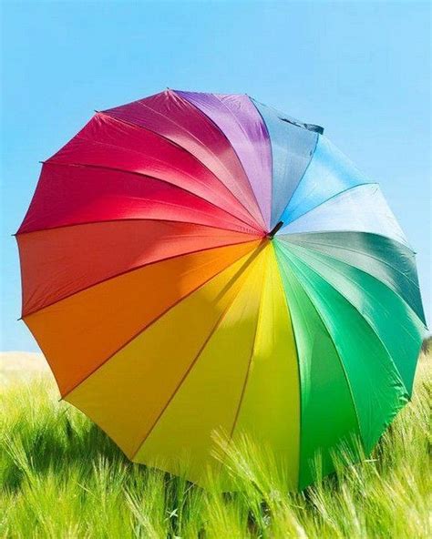 Rainbow Umbrella: A Colorful Delight