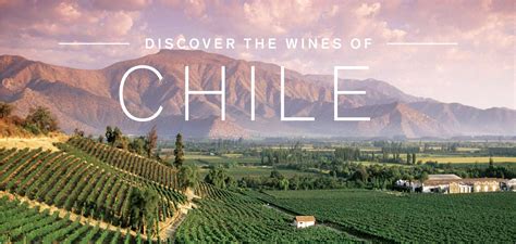 Discover the Wines of Chile