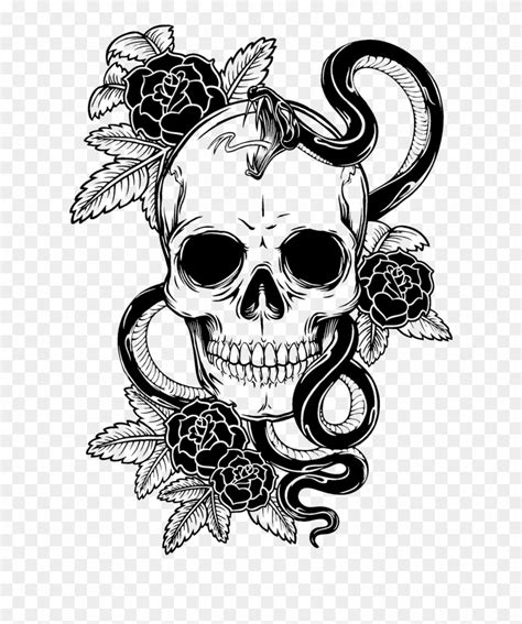 Symbolism Tattoo Venom Skull Human Free Hq Image Clipart - Skeleton ...