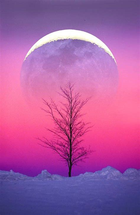 Snow Moon | Pagan Calendar