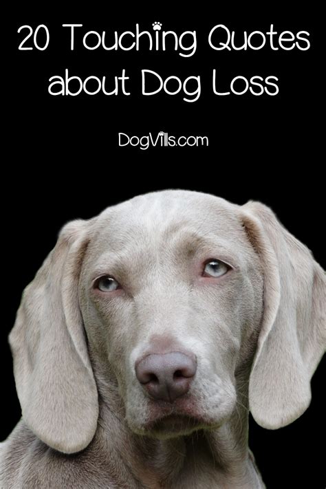 Top Loss Of A Dog Quotes Learn more here | quotesgram5