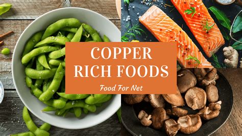 24 Copper Rich Foods So You’re Never Short Of This Trace Mineral | Food ...