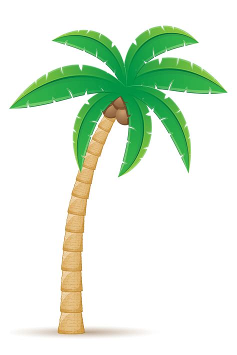 palm tropical tree vector illustration 494238 Vector Art at Vecteezy