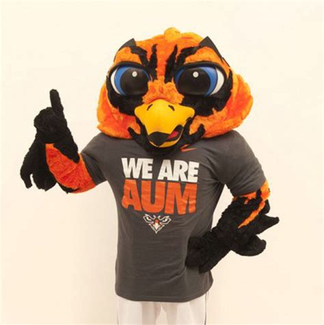 Auburn University at Montgomery warhawk mascot takes home Best Up and ...