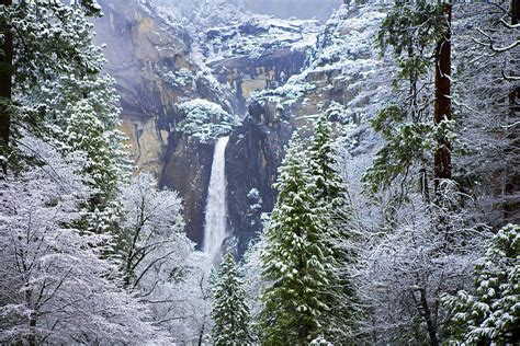 Yosemite Snow | ubicaciondepersonas.cdmx.gob.mx