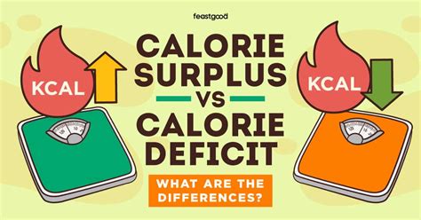 Calorie Surplus vs Calorie Deficit: What Are The Differences ...